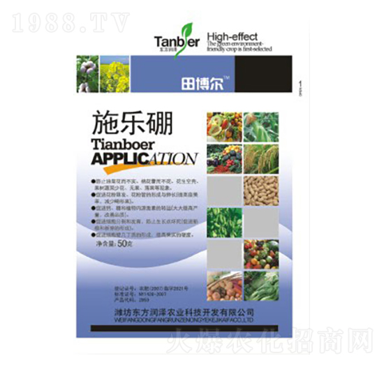 ʩ����-�|������