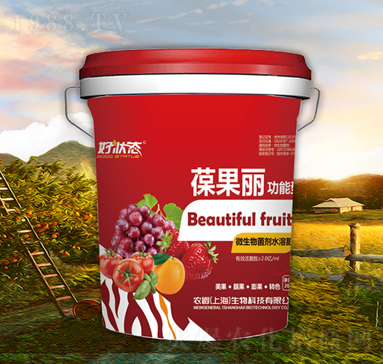 �����-�à�B(t��i)-�r(n��ng)��