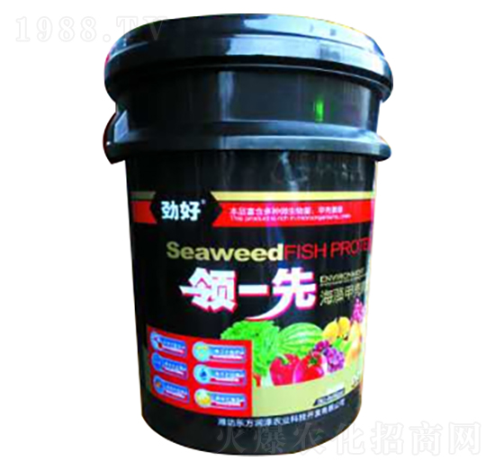 ����ך�����-�I(l��ng)-��-�|������