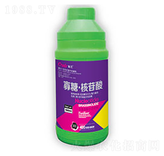 ���ǡ�������-�|����(r��n)��