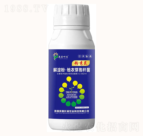 ����ۡ�����ѿ�ߗU��-�����`-Ӣ���~��(r��n)