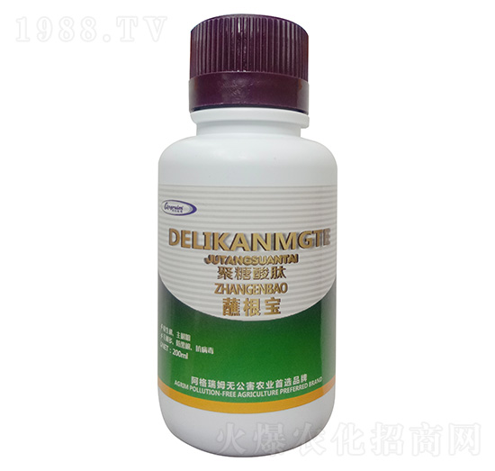 ��������-պ����-������ķ