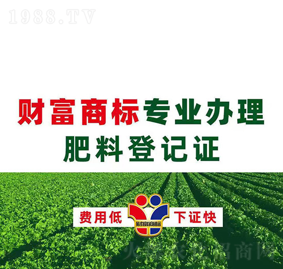 ���ϵ�ӛ�C�k��-ؔ���̘�(bi��o)