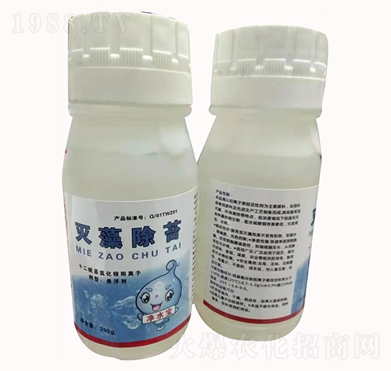 �����̦-�h�|����