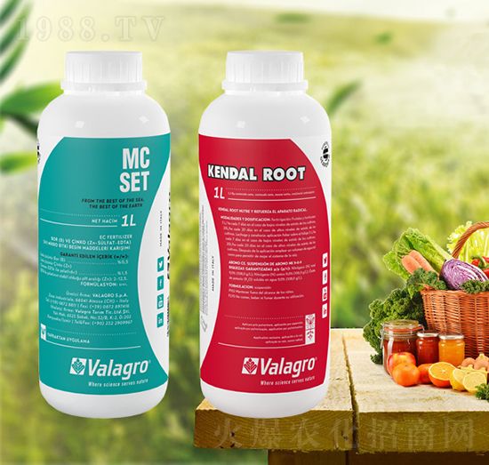 �����-���T�r(n��ng)�I(y��)