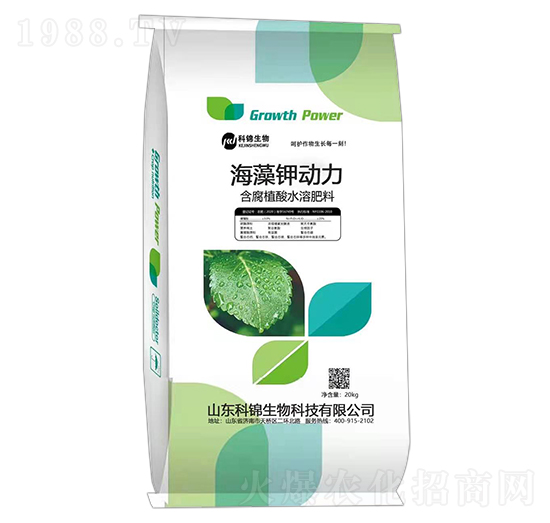 ����ֲ��ˮ�ܷ��� ����⛄��� ���\����