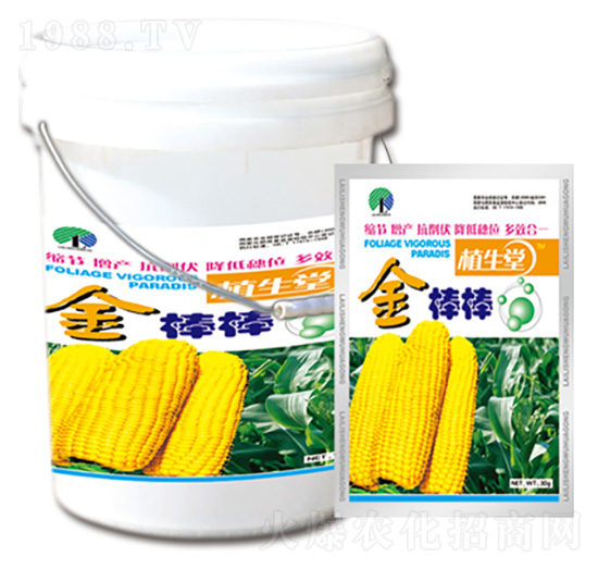 ����� ֲ���� �R������