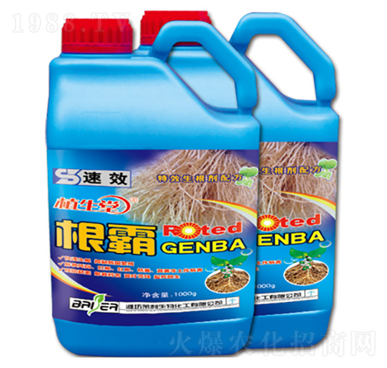 ���� ֲ���� �R������