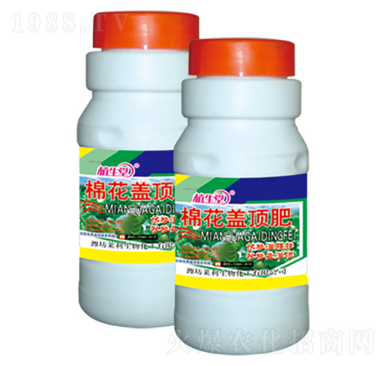 �޻��w픷� ֲ���� �R������