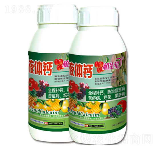 ���w�} ֲ���� �R������