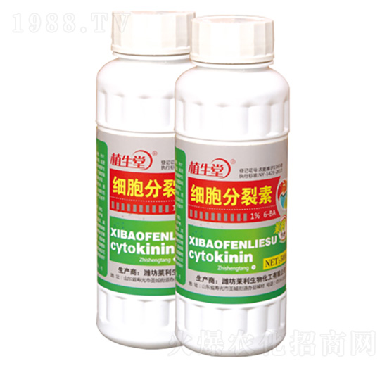 ��(x��)�������� ֲ���� �R������