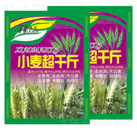 С����ǧ�� �R������