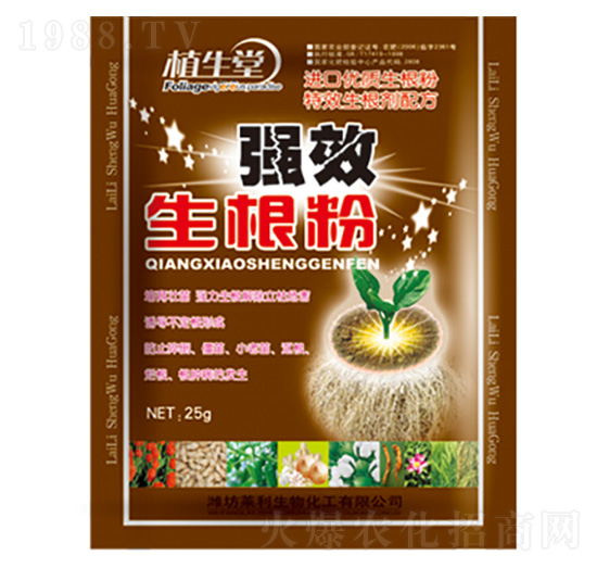 ������ �R������