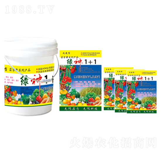 �G��1+1 �R������