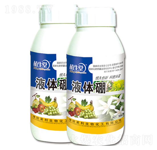 ���w�� ֲ���� �R������