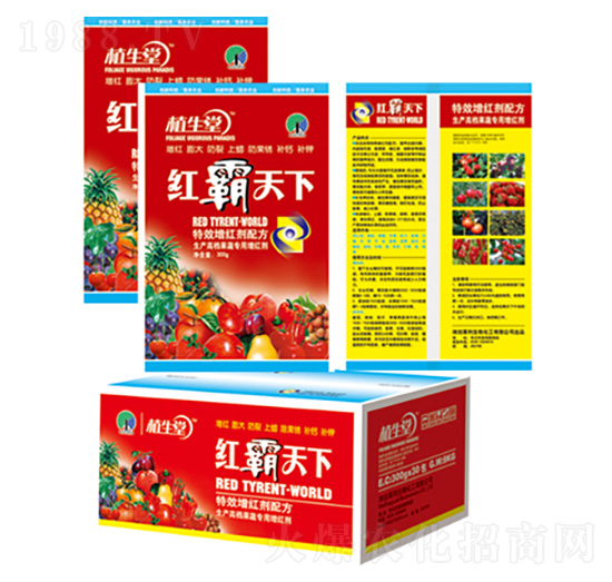 �t������ ֲ���� �R������