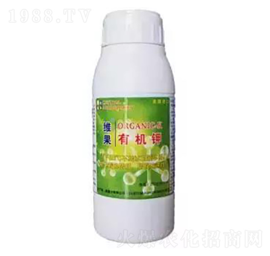 �S���ЙC� �S������