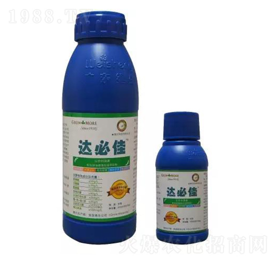 �_�ؼ� �S������