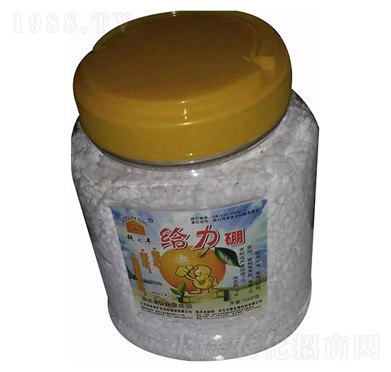 �o���� �з�