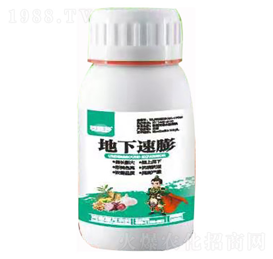 �������� �ڌ� �{(l��n)���r(n��ng)��