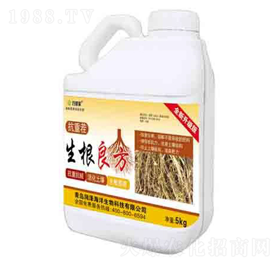 �������� ����