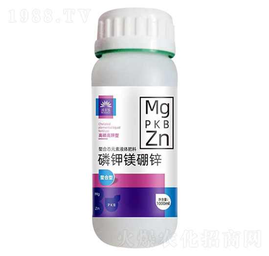 ����V���\-�֠���