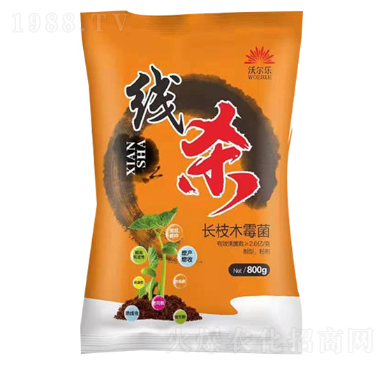 �L֦ľù��-����-�֠���