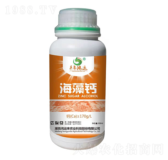 �����}-�S�����\(y��n)-���\(y��n)��