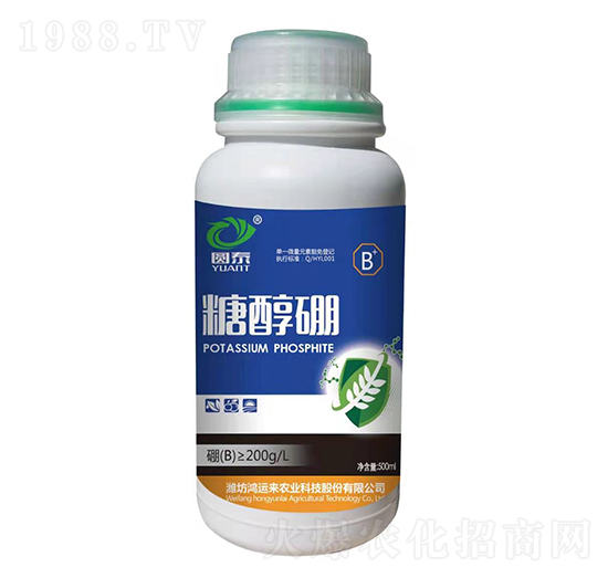 �Ǵ���-�@̩-���\��