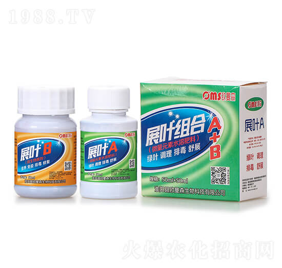 չ�~�M��A+B-�W��ɭ