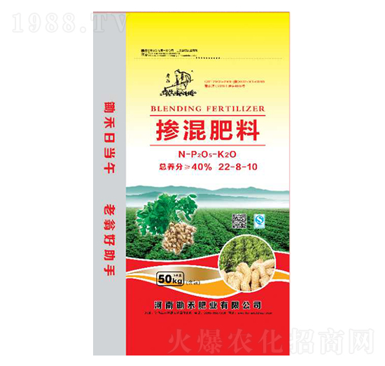 �������22-8-10-�z�̷ʘI(y��)