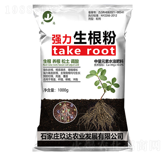 ���������� ���_