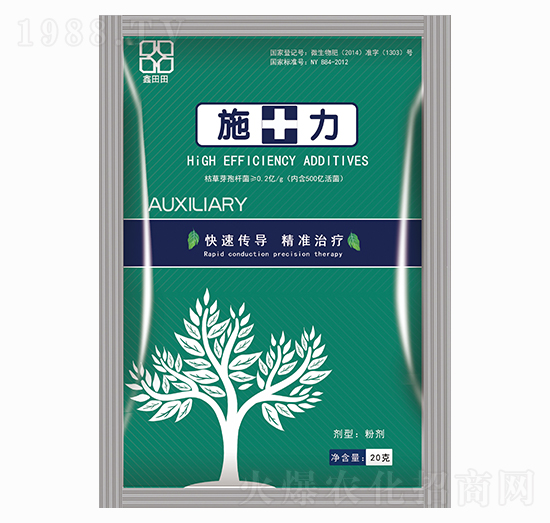 20gʩ���� ������