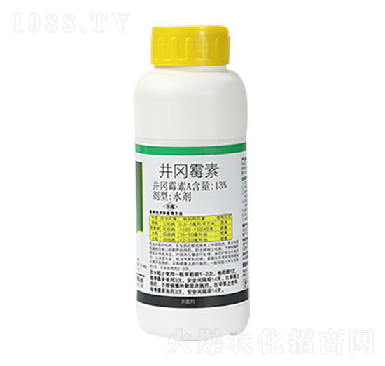 13%����ù�� �R�S