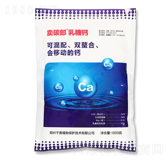 �����} �u̼�� ǧ��ֲ��