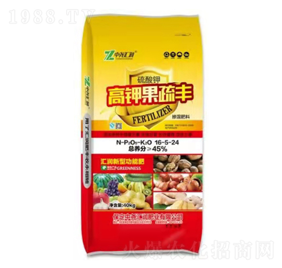 ��⛹����S16-5-24 �Ј�R��(r��n)