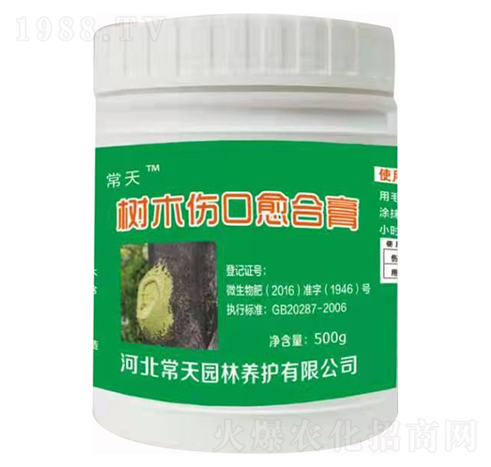 ��ľ�������ϸ� ����