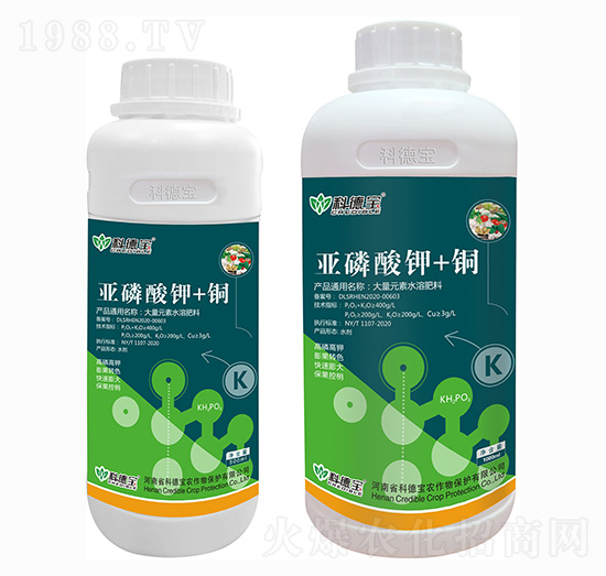 �������+�~ �Ƶ�