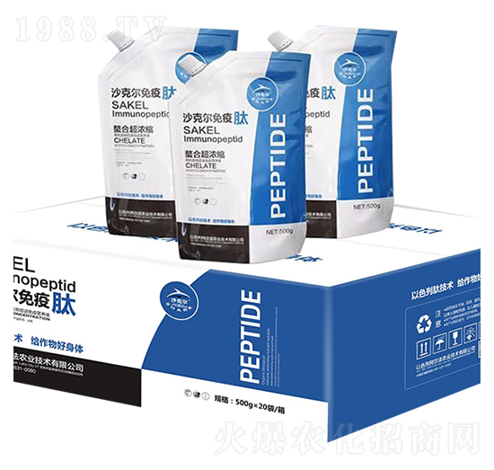 ɳ�ˠ������� �������r�I(y��)