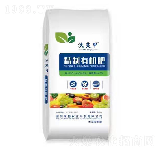 �����ЙC�� ��ܽ�� �s���r(n��ng)�I(y��)