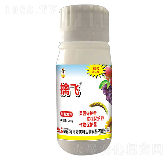 200g���w��B�����w����-������