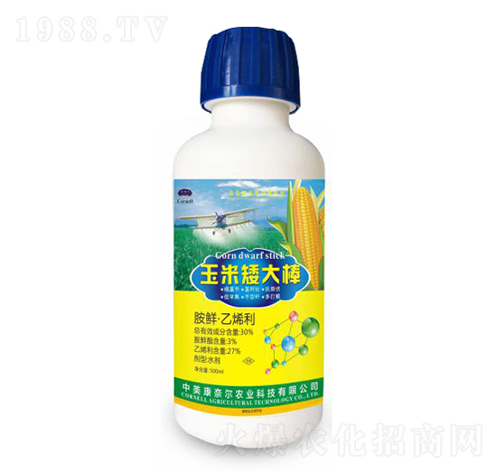 ���װ�������������a���ã�-�����S-���Π�