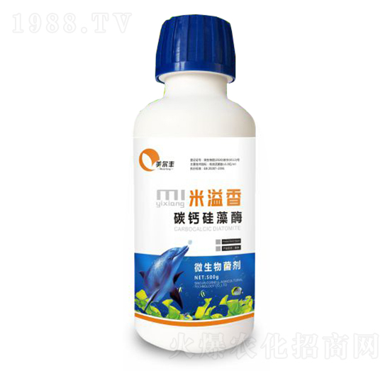 ̼�}����ø-������-���Π�