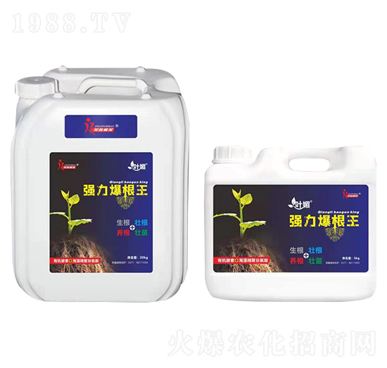 ��(qi��ng)��������-�~��-�s��ֲ��