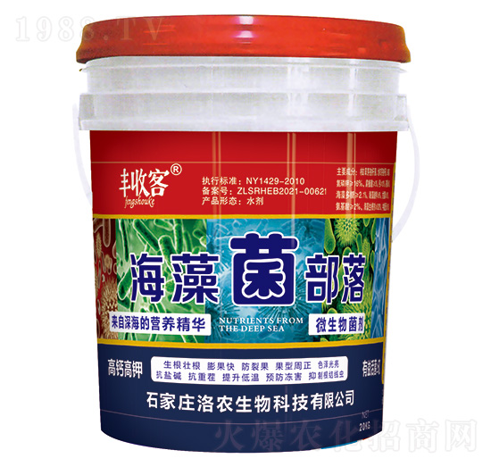 ���������-�S�տ�-���r(n��ng)����