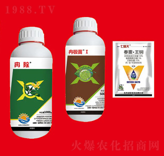 �����M�Ϣ� ��Ƚ���W