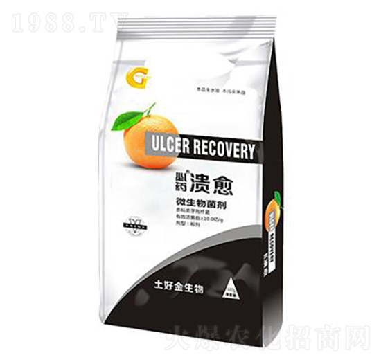 500g΢������� ���� ���ý�