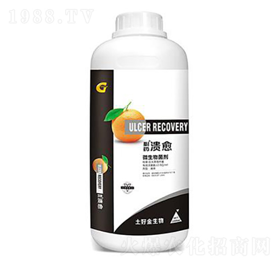 1000ml΢������� ���� ���ý�