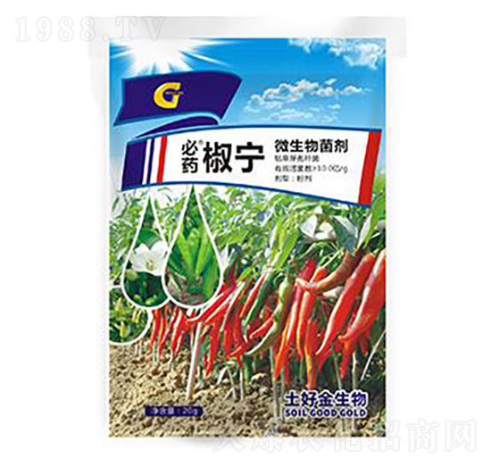 20g���� ���ý�