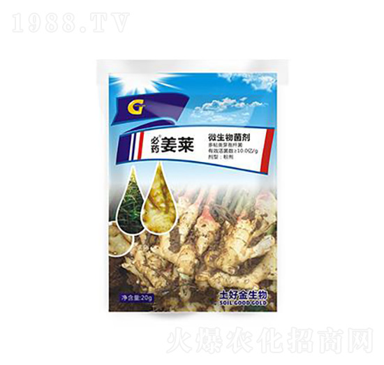 20g���R ���ý�